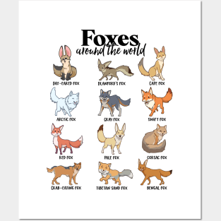 Foxes around the world - types of foxes Posters and Art